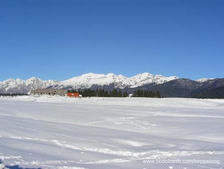 DSCN0539