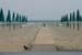 Grado alba